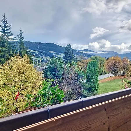 Duplex 2 Pieces Avec Balcon Et Wifi Face Au Mont Blanc - Fr-1-560-165 コンブルー